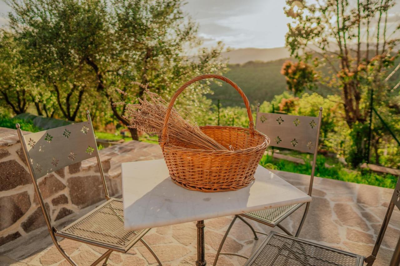 L'Otello B&B Pistoia Ngoại thất bức ảnh
